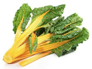 Swiss Chard Silverbeet Golden Sunset | Seedmart Australia