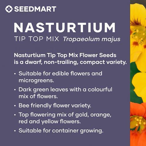 How to Grow Nasturtium | Seedmart Australia