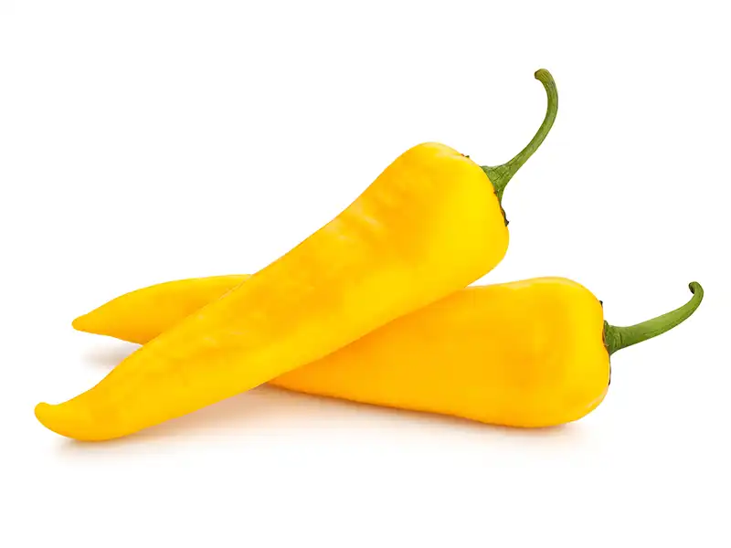 chilli-golden-cayenne-seeds-isolated-seedmart-australia-singapore
