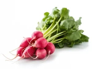 pink-radish-lady-slippers-seeds-isolated-seedmart-australia-singapore