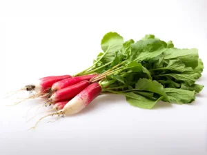 Radish French Breakfast Vegetable Seeds