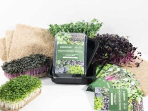 Starter Microgreen Kit | Seedmart Australia
