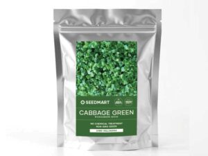 Cabbage Green Microgreens Packet | Seedmart Australia