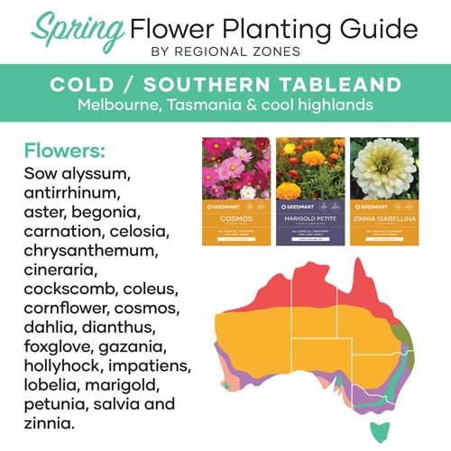 Spring Flower Planting Guide for Cold/Southern Tableland