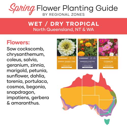 Flower Planting Guide for Spring | Wet/Dry Tropical | Seedmart