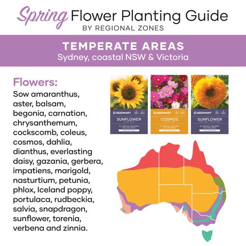 Flower Planting Guide for Spring | Temperate | Seedmart