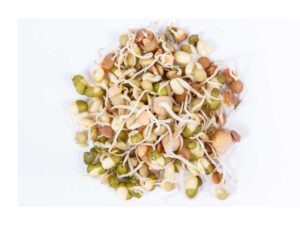 Protein Mix Sprouting Seeds | Sprouted | Seedmart Australia