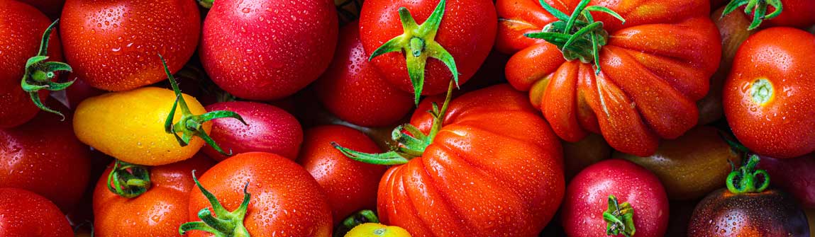 Mixed Heirloom Tomatoes for Blog Post | Seedmart