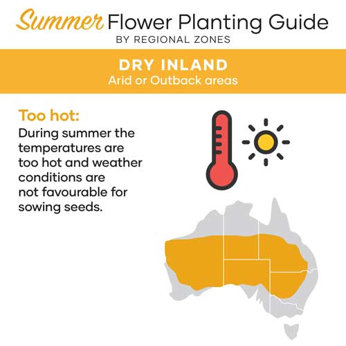 Summer Flower Planting Guide | Arid Region Australia