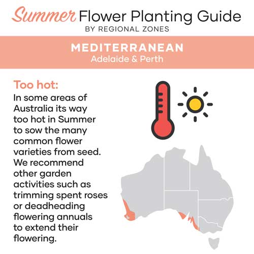 Flower Planting Guide | Mediterranean Climate Zone | Australia