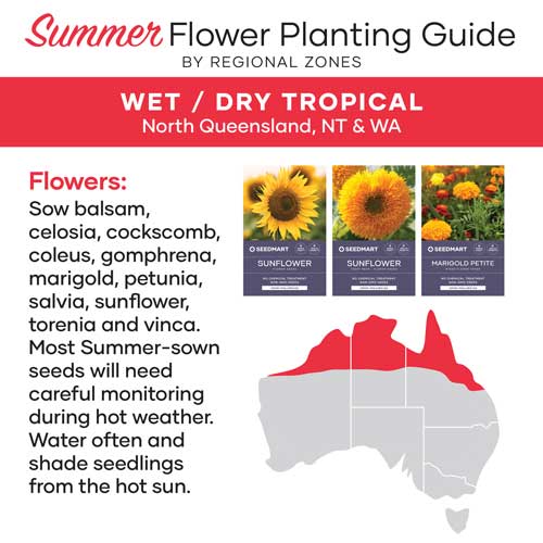 Flower planting guide | wet dry region_australia 