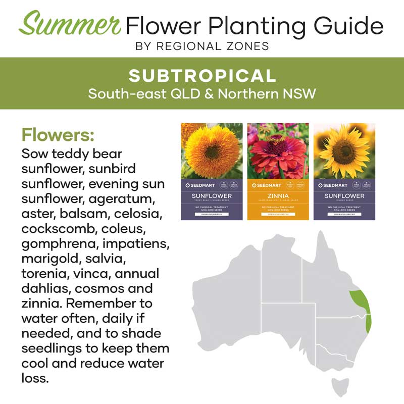 Summer Flower Planting Guide | Subtropical Australia