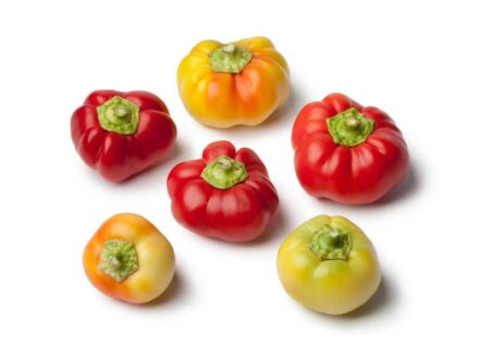 Capsicum Alma Paprika Vegetable Seeds - Seedmart Australia