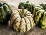 Squash Sweet Dumpling | Seedmart Australia