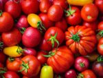 Tomato Cherry Rainbow