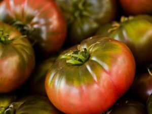 Tomato Cherokee Purple | Heirloom Vegetable Seeds