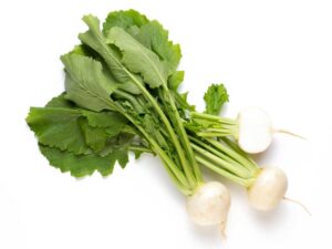 Turnip Japanese White | Isolated | Seedmart Australia