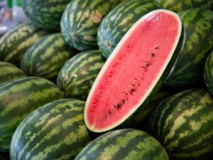 Watermelon Congo