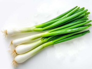Early Onion Isolated | Seedmart