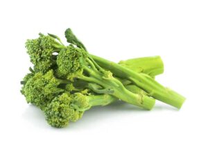 Baby Broccoli | Isolated