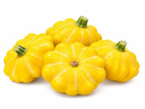 squash golden scallopini | seedmart | australia