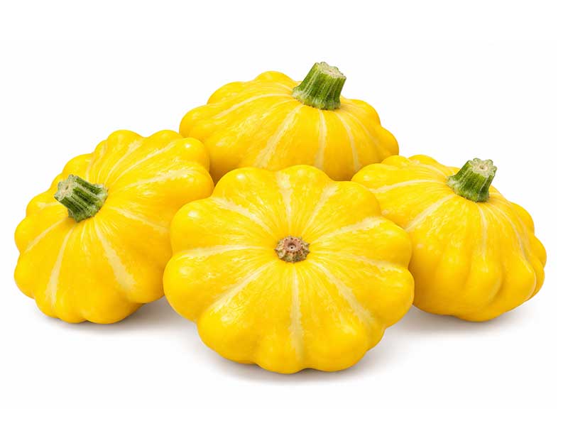 squash golden scallopini | seedmart | australia