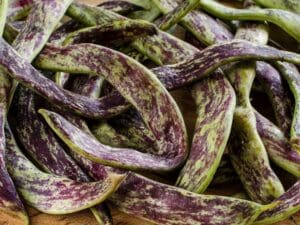 Bean Bush Dragon's Tongue | Seedmart Australia