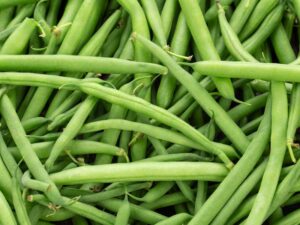 Bean Bush Jade Vegetable Seeds | Seedmart