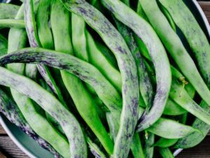 Bean Lohrey Natural Salt | Vegetable Seeds