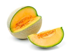 Rockmelon Hales Best | Isolated | Seedmart Australia