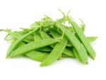 snowpea_oregon_giant_vegetable_isolated