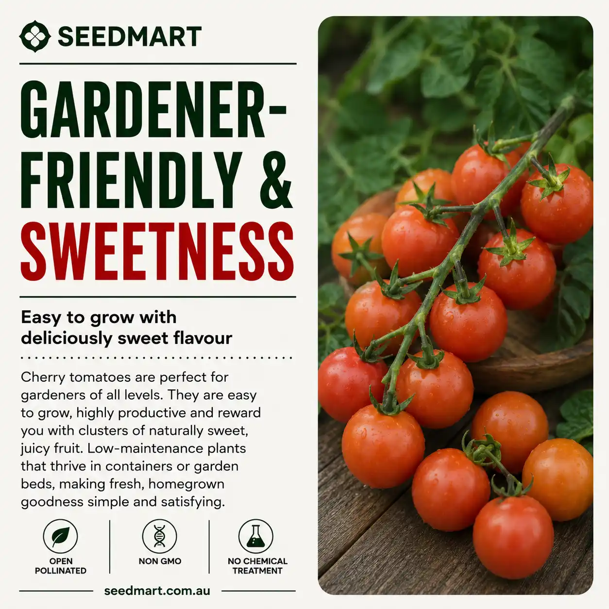 Seedmart ad: bold text 'Gardener-Friendly & Sweetness' beside a photo of ripe cherry tomatoes on a vine.