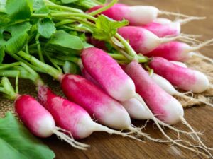 Radish French Breakfast | Seedmart Australia