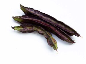 Purple Winged Bean Vegetable Seeds | Isolated