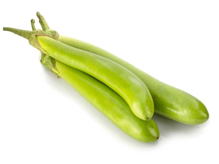 Chinese Broccoli Jade Vegetable Seeds Heirloom Variety