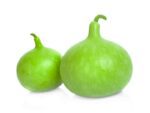 Round Bottle Gourd Vegetable Seeds | Isolated