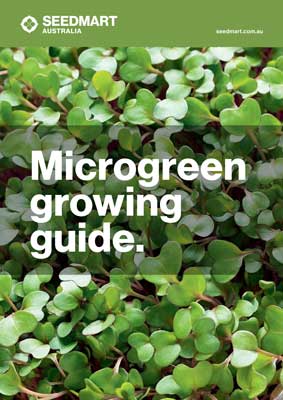 Microgreen Growing Guide | Seedmart Australia | Thumbnail