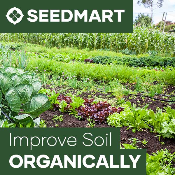 Improve Soil Organically | Seedmart Australia