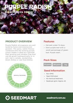 Purple Radish Microgreens | Technical Data Sheet | Seedmart Australia