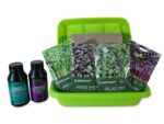 Microgreen Growing Kit | Seedmart Australia