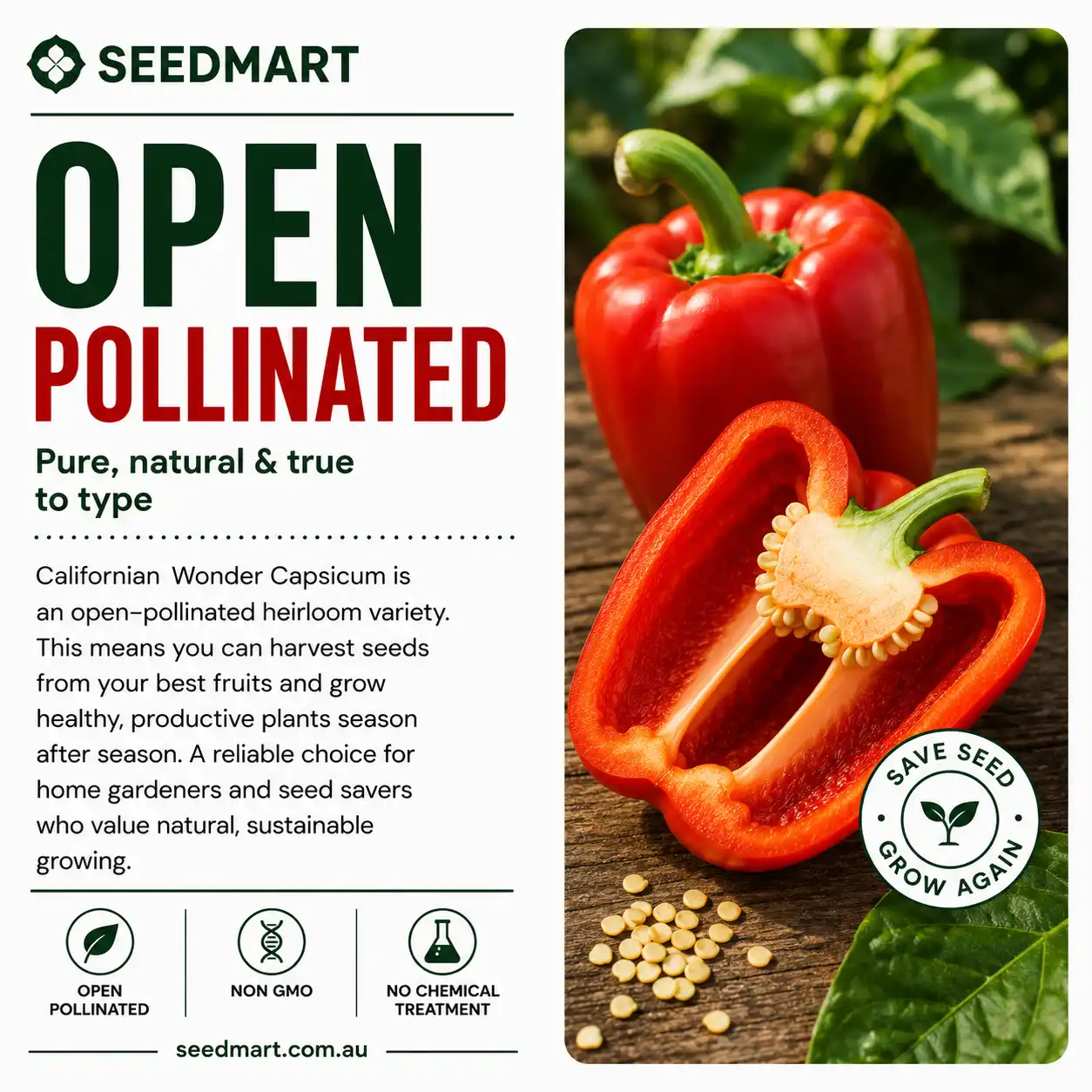 capsicum-californian-wonder-seeds-op-pollinatedseedmart-australia