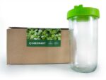 Glass Sprouting Jar | Seedmart Australia