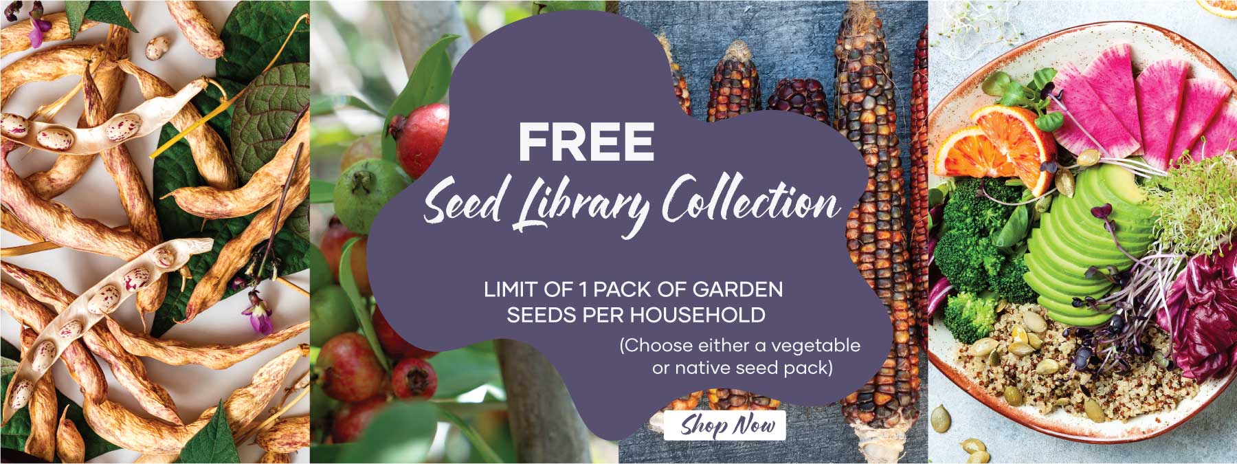 Seed-Library-Banner-shop-now