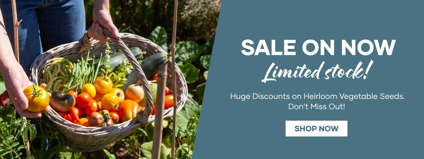Vegetable | Seed | Sale | Seedmart Australia | Header