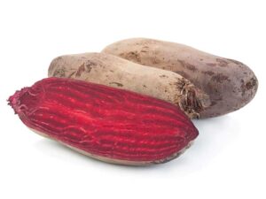 Beetroot Cylindra | Seedmart Australia