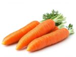 Carrot Kuroda Isolated | Seedmart Australia