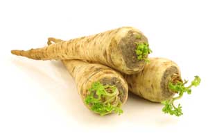 Parsley Hamburg Isolated Seedmart Australia