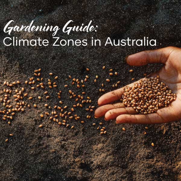 Gardening Guide : Climate Zones in Australia | Blog Feature Image | Seedmart Australia