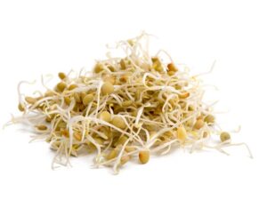 Lentil Sprouting Seeds | Seedmart Australia
