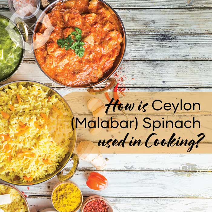 How-Is-Ceylon-Malabar-spinach-used-in-cooking